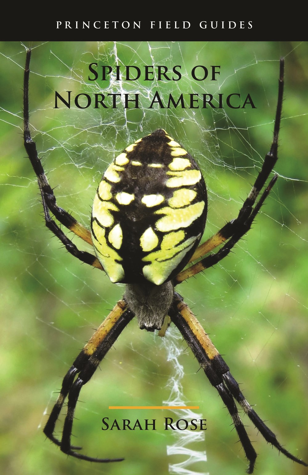 PRINCETON FIELD GUIDE SPIDERS OF NORTH AMERICA