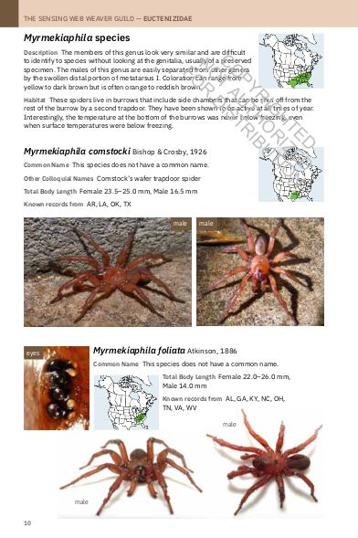 PRINCETON FIELD GUIDE SPIDERS OF NORTH AMERICA 3