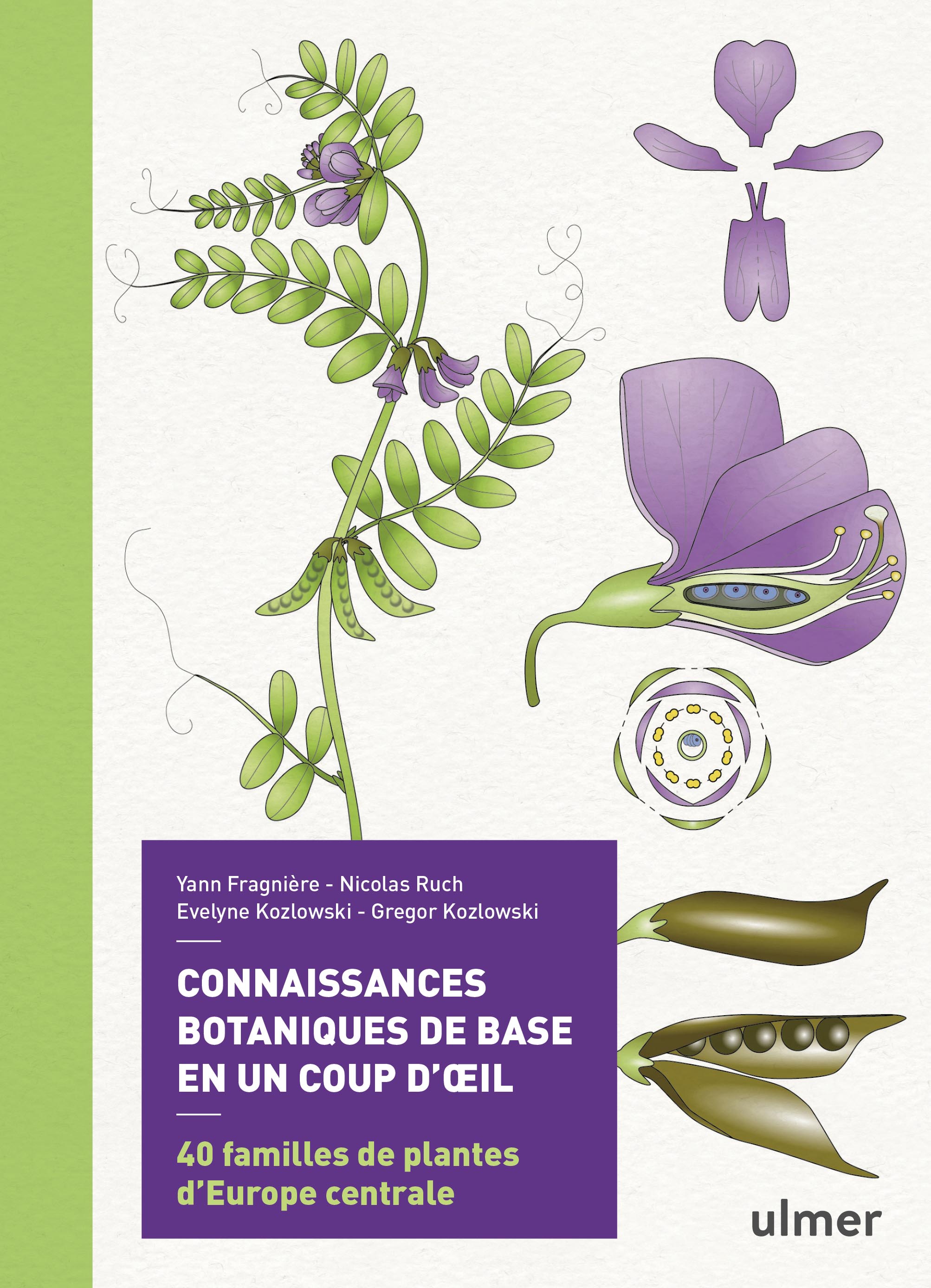 CONNAISSANCES BOTANIQUES DE BASE EN UN COUP D'OEIL. 40 FAMILLES DE PLANTES D'EUROPE CENTRALE