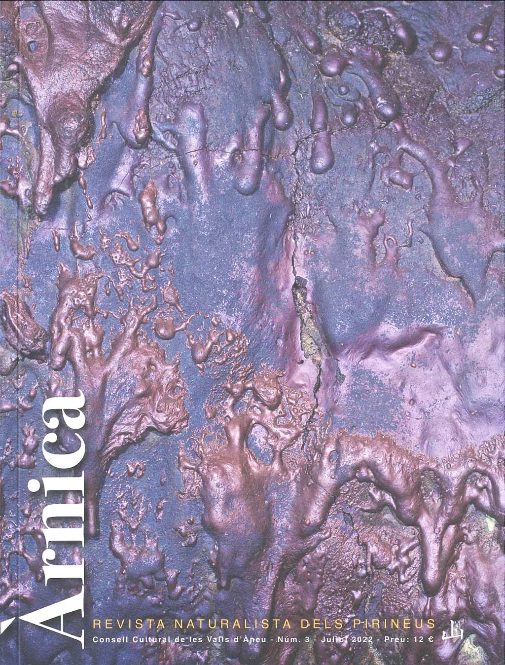 ÀRNICA. REVISTA NATURALISTA DELS PIRINEUS Nº 3 1