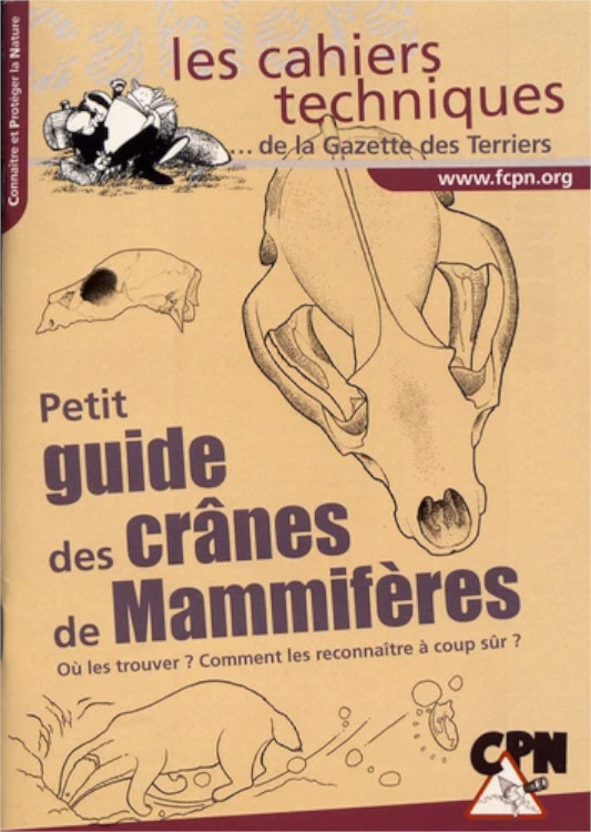 PETIT GUIDE DES CRÂNES DE MAMMIFÈRES. OÙ LES TROUVER? COMMENT LES RECONNAÎTRE À COUP SÛR? 1