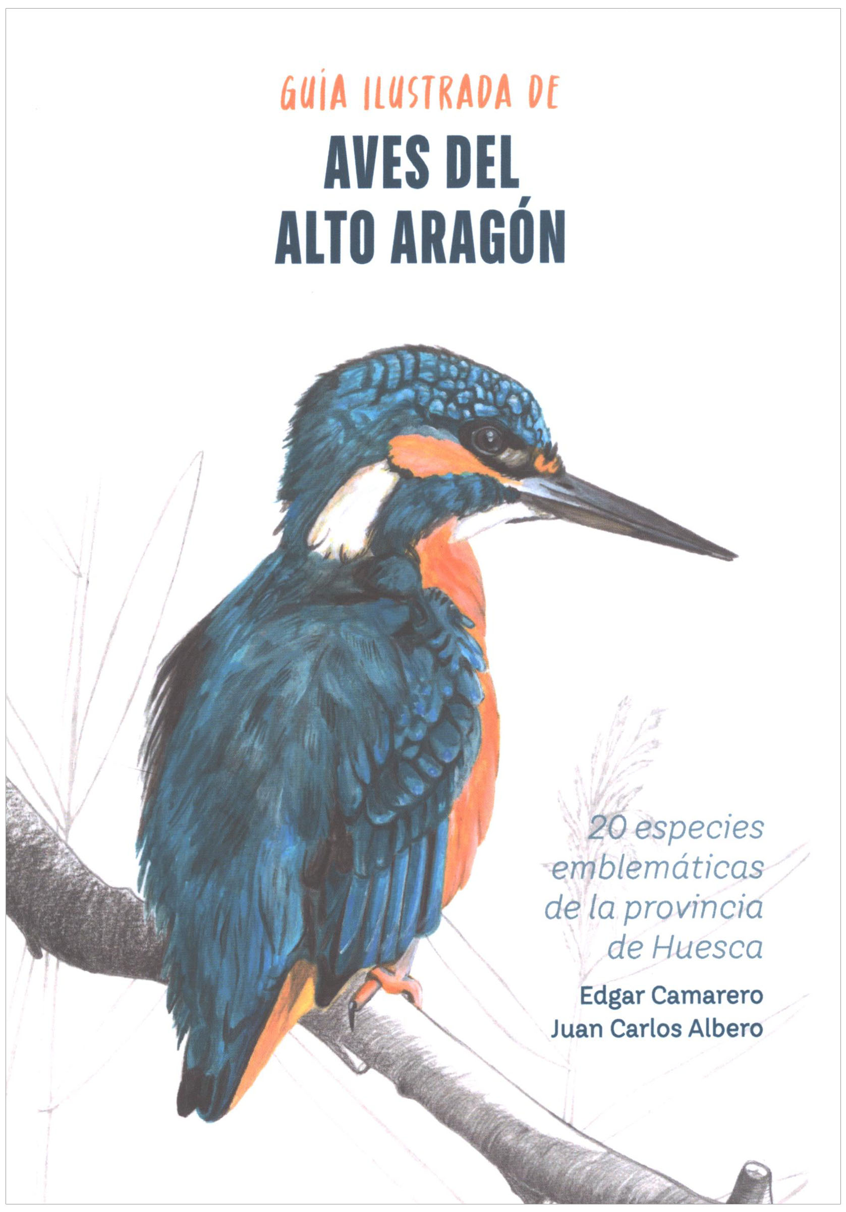 GUÍA ILUSTRADA DE AVES DEL ALTO ARAGÓN. 20 ESPECIES EMBLEMÁTICAS DE LA PROVINCIA DE HUESCA