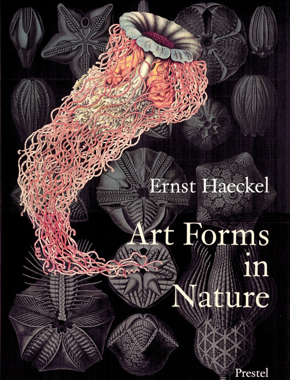 ERNST HAECKEL. ART FORMS IN NATURE 1