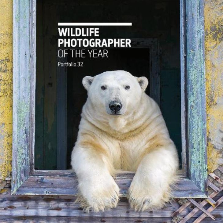 WILDLIFE PHOTOGRAPHER OF THE YEAR. PORTFOLIO 32