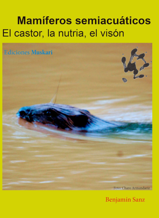 MAMIFEROS SEMIACUÁTICOS. EL CASTOR, LA NUTRIA Y EL VISÓN