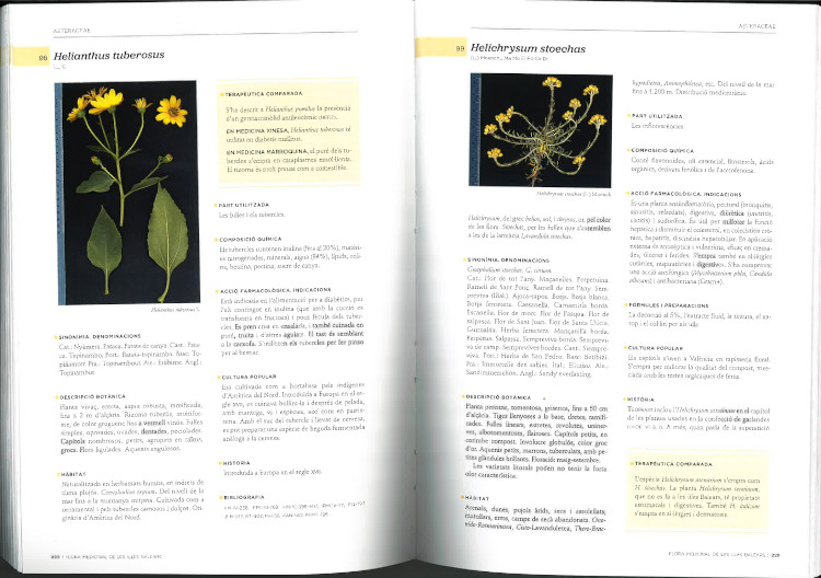 FLORA MEDICINAL DE LES ILLES BALEARS 2
