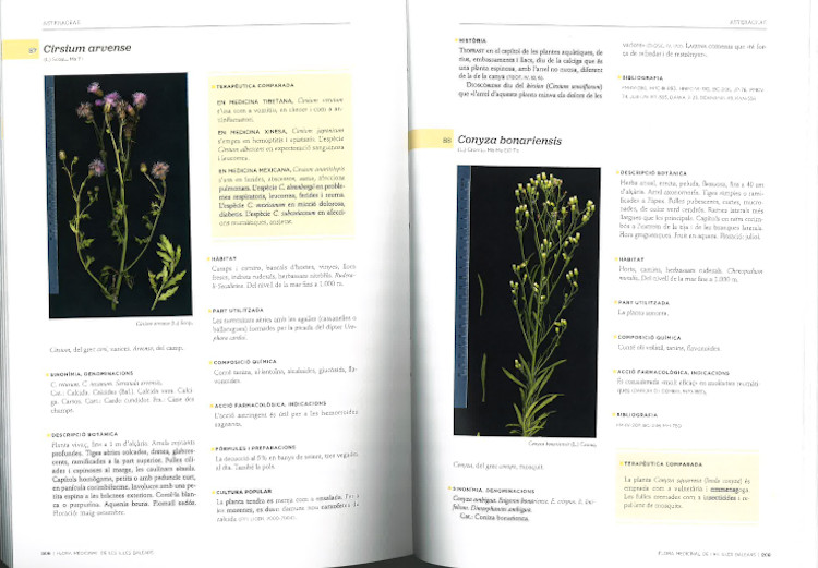 FLORA MEDICINAL DE LES ILLES BALEARS 3