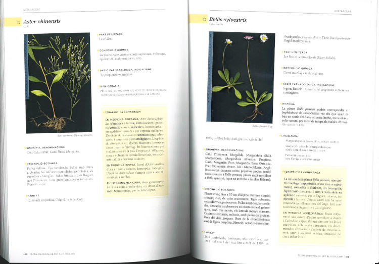 FLORA MEDICINAL DE LES ILLES BALEARS 4