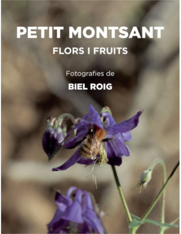 PETIT MONTSANT. FLORS I FRUITS 1