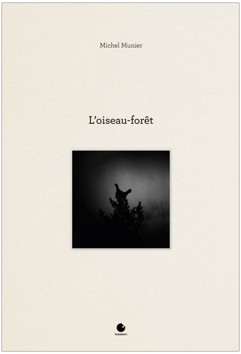 L'OISEAU FORÊT 1