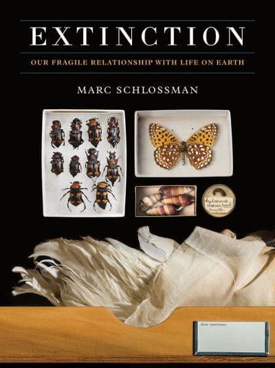 EXTINCTION. OUR FRAGILE RELATIONSHIP WITH LIFE ON EARTH