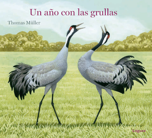 UN AÑO CON LAS GRULLAS 1