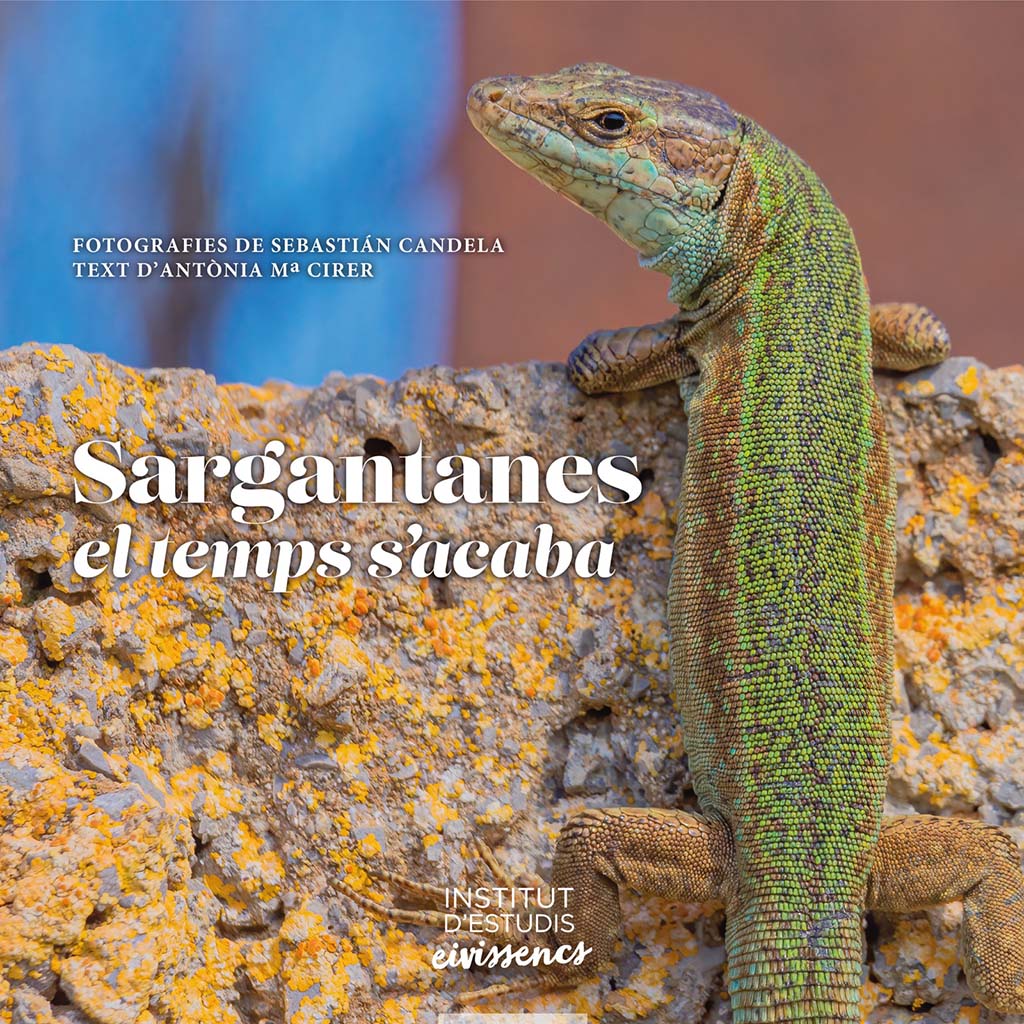 SARGANTANES EL TEMPS S'ACABA