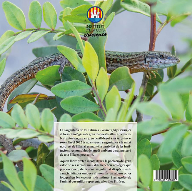 SARGANTANES EL TEMPS S'ACABA 3