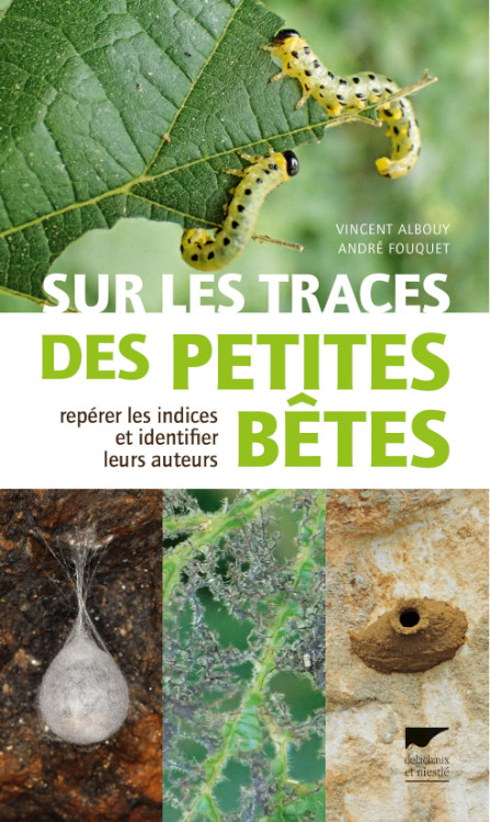 SUR LES TRACES DES PETITES BÊTES