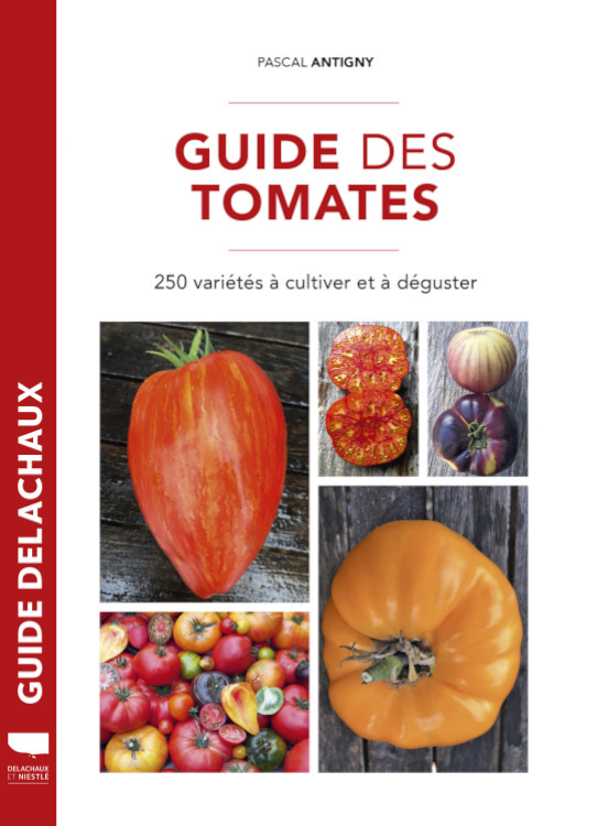 GUIDE DES TOMATES 1