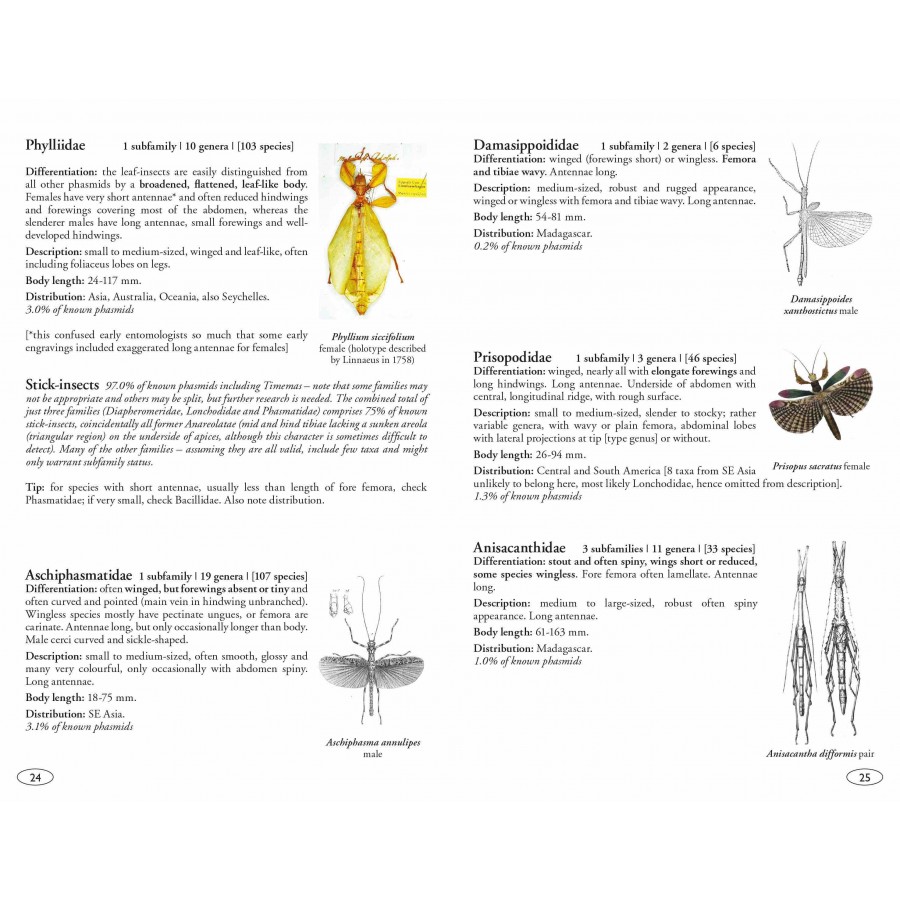 STICK AND LEAF INSECTS OF THE WORLD. PHASMIDS 2