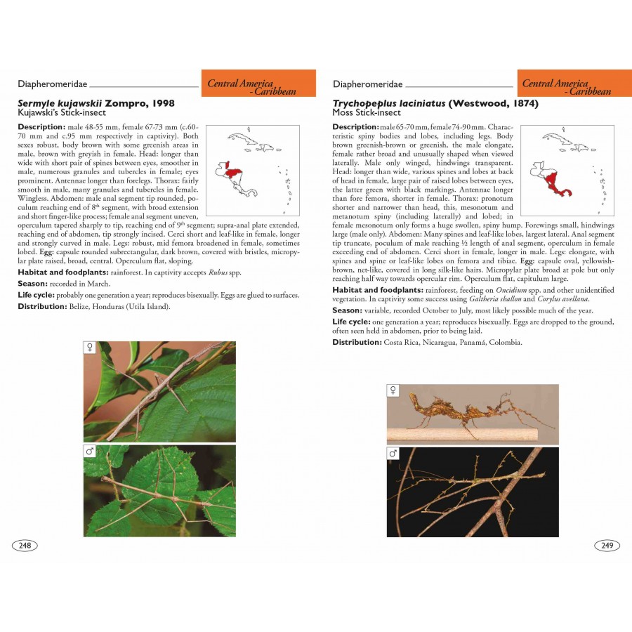 STICK AND LEAF INSECTS OF THE WORLD. PHASMIDS 4