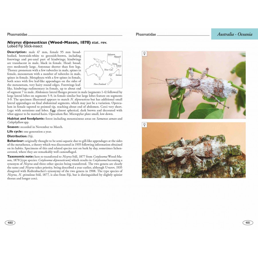 STICK AND LEAF INSECTS OF THE WORLD. PHASMIDS 5