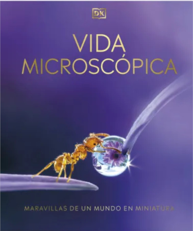 VIDA MICROSCÓPICA 1