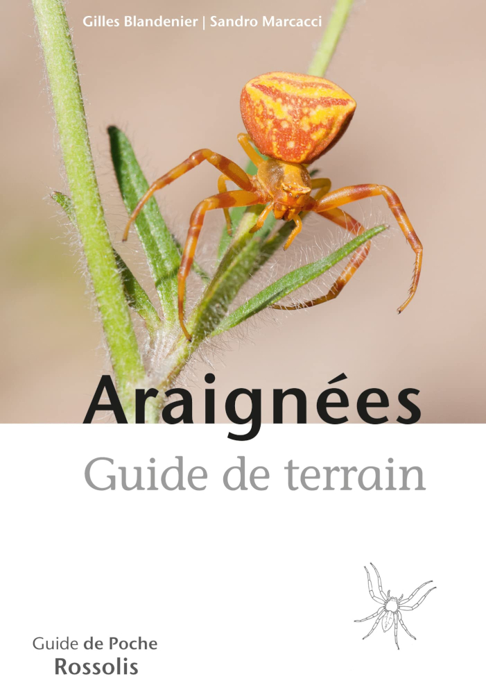 ARAIGNÉES GUIDE DE TERRAIN 1