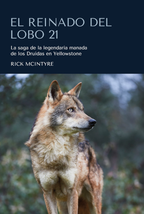EL REINADO DEL LOBO 21. LA SAGA DE LA LEGENDARIA MANADA DE LOS DRUIDAS EN YELLOWSTONE