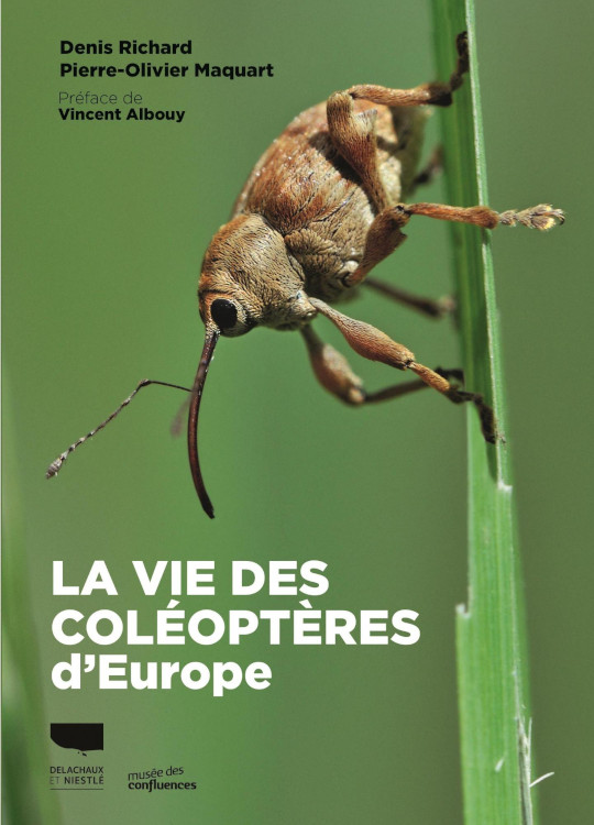 LA VIE DES COLÉOPTÈRES D\'EUROPE 1