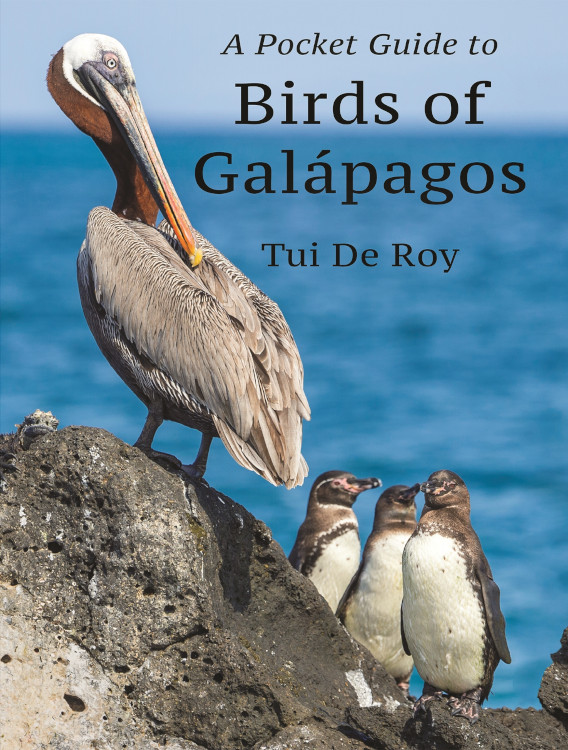 A POCKET GUIDE TO BIRDS OF GALÁPAGOS 1