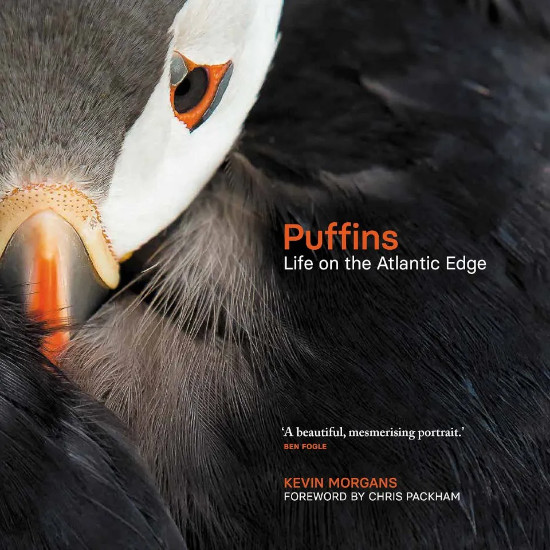 PUFFINS. LIFE ON THE ATLANTIC EDGE 1