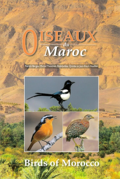 OISEAUX DU MAROC - BIRDS OF MOROCCO