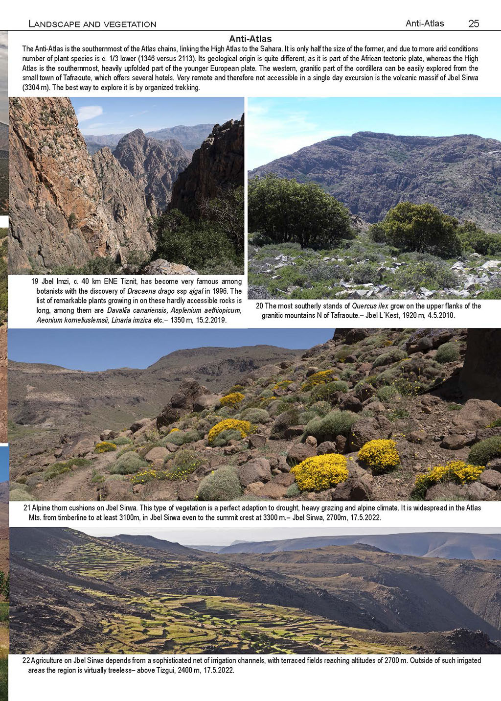 ILLUSTRATED FLORA OF MOROCCO 2