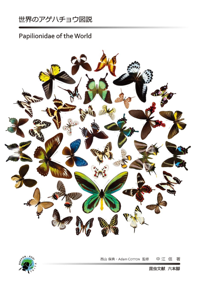 PAPILIONIDAE OF THE WORLD 1