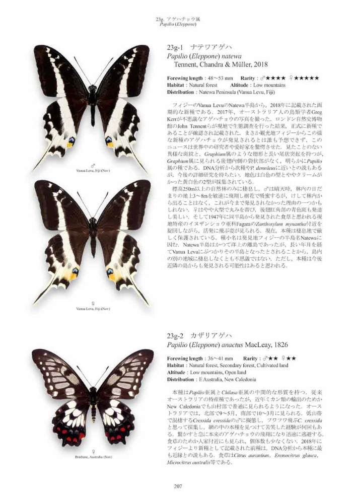 PAPILIONIDAE OF THE WORLD 2