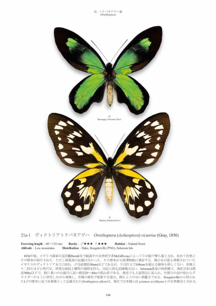PAPILIONIDAE OF THE WORLD 3