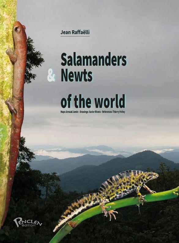 SALAMANDERS & NEWTS OF THE WORLD 1