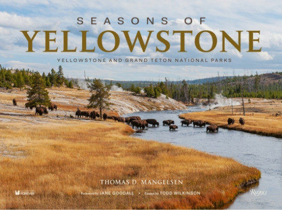 SEASONS OF YELLOWSTONE