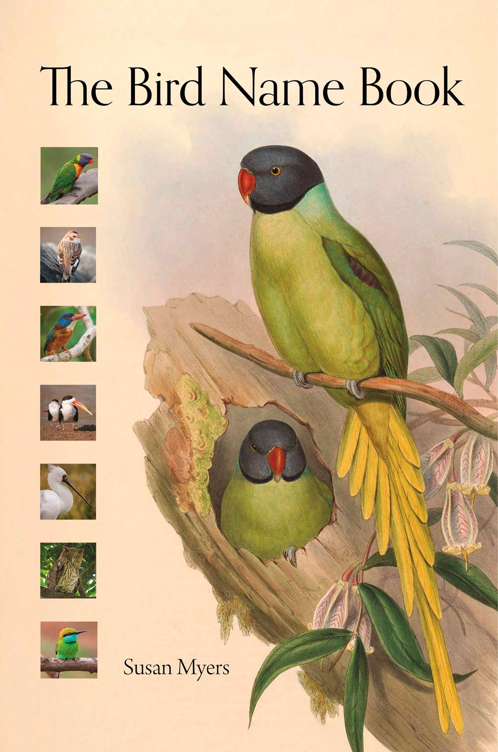 THE BIRD NAME BOOK