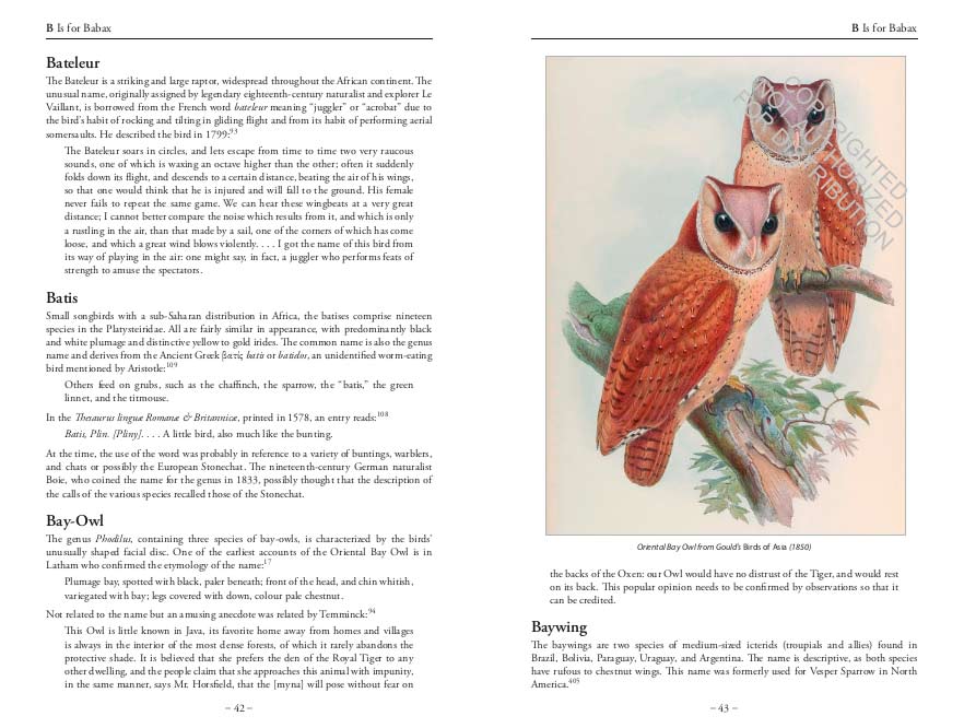 THE BIRD NAME BOOK 5