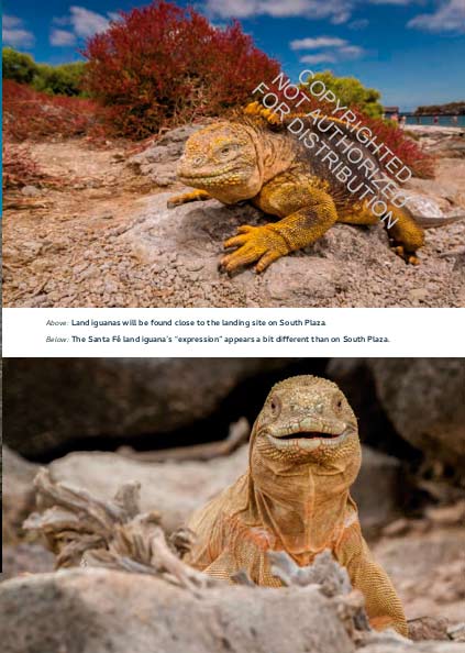 GALÁPAGOS. A NATURAL HISTORY 3