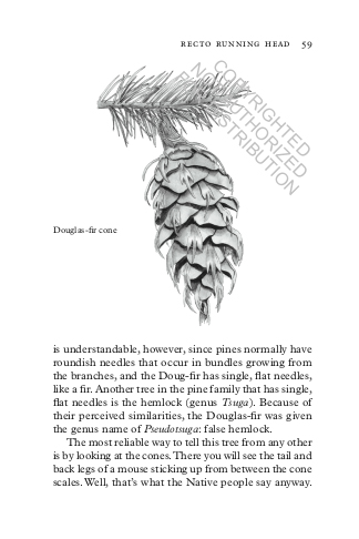 TREEPEDIA. A BRIEF COMPENDIUM OF ARBOREAL LORE 3