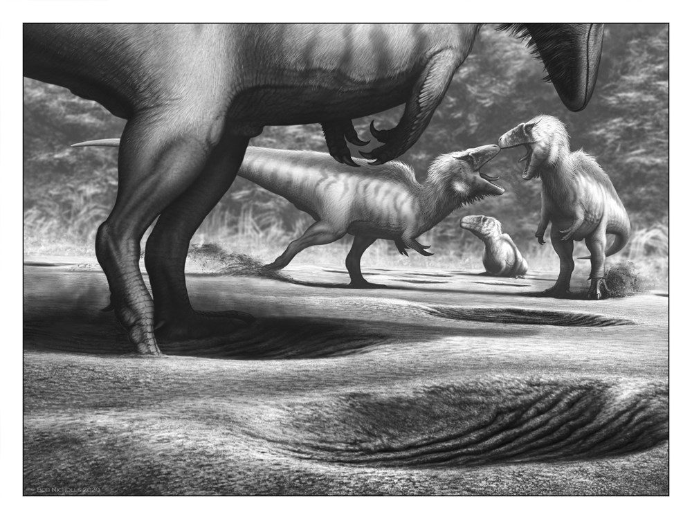 LOCKED IN TIME. ANIMAL BEHAVIOR UNEARTHED IN 50 EXTRAORDINARY FOSSILS 2