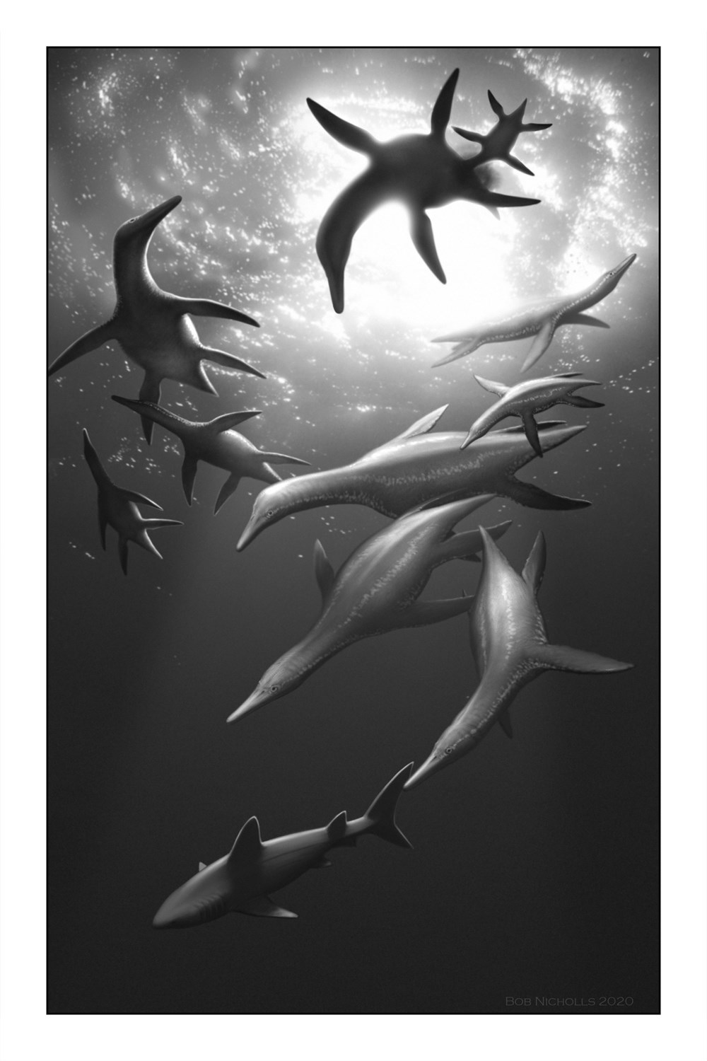 LOCKED IN TIME. ANIMAL BEHAVIOR UNEARTHED IN 50 EXTRAORDINARY FOSSILS 3