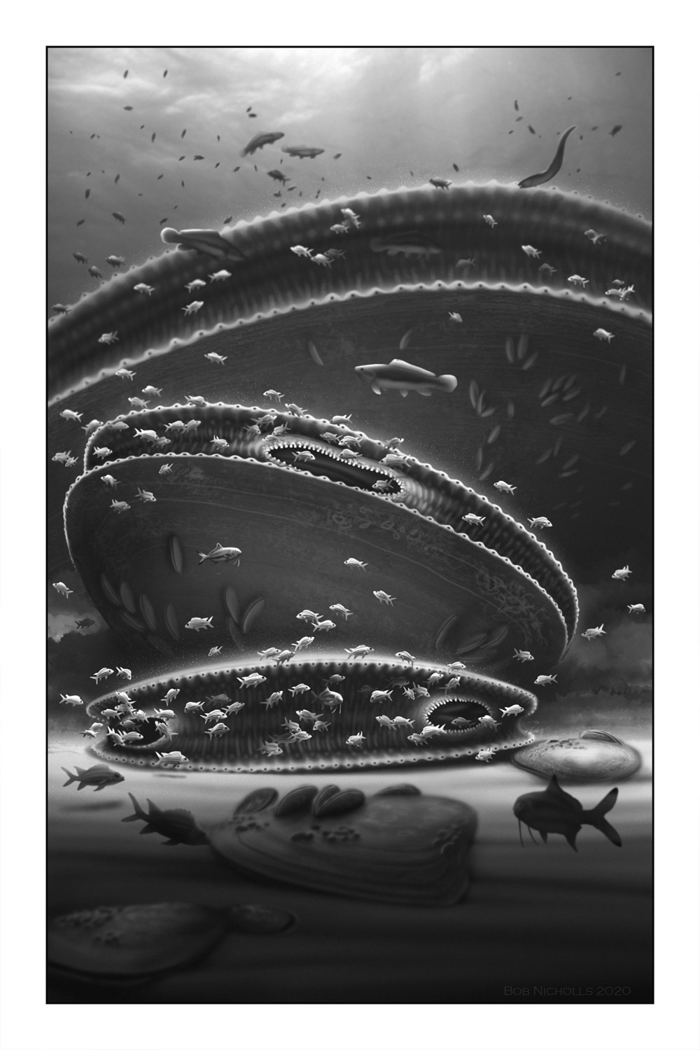 LOCKED IN TIME. ANIMAL BEHAVIOR UNEARTHED IN 50 EXTRAORDINARY FOSSILS 4