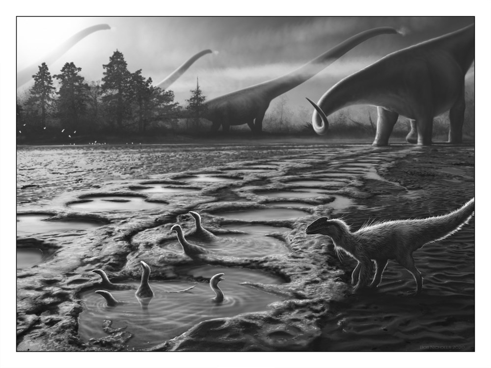 LOCKED IN TIME. ANIMAL BEHAVIOR UNEARTHED IN 50 EXTRAORDINARY FOSSILS 5