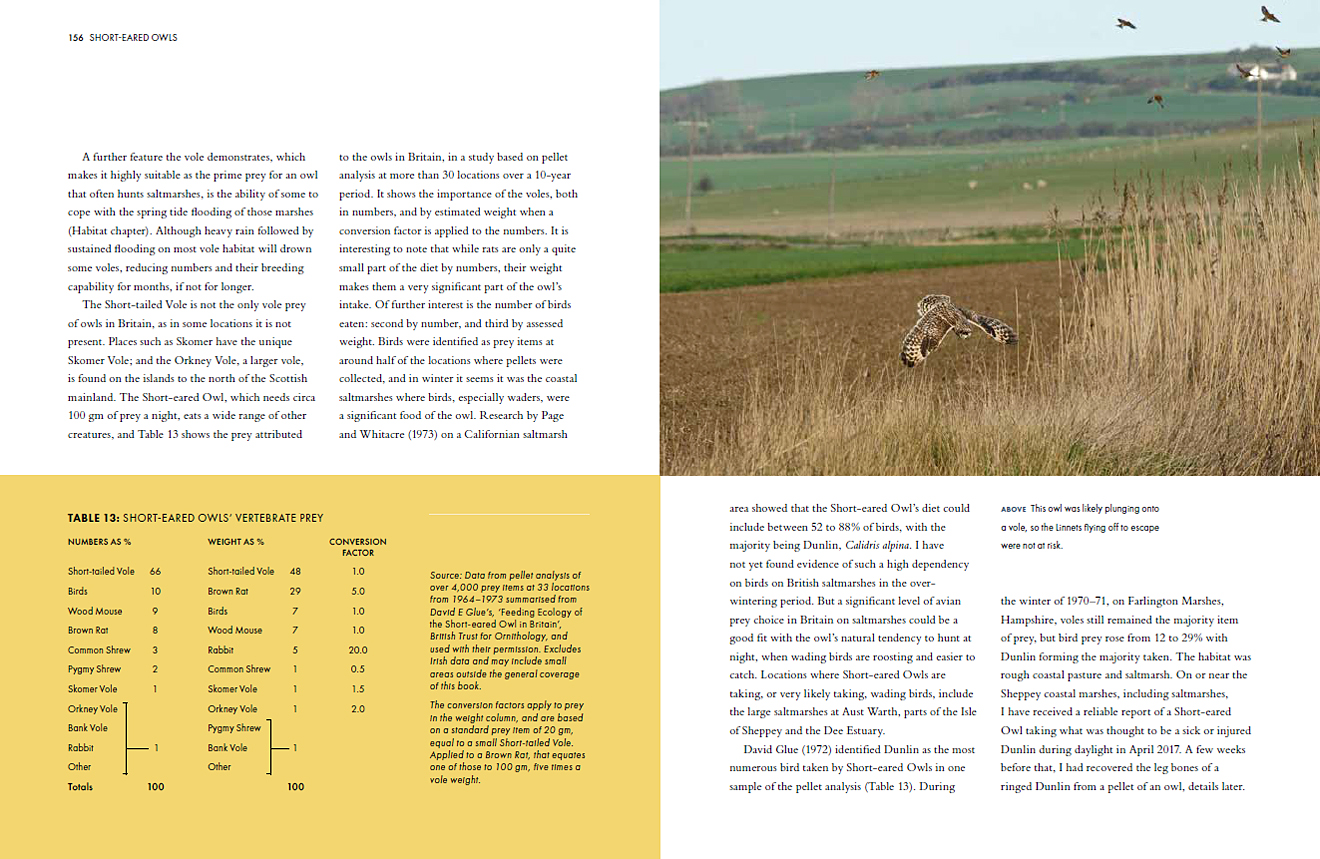 SHORT-EARED OWLS. AN EXTENSIVE STUDY OF SHORT-EARED OWLS IN BRITAIN 6