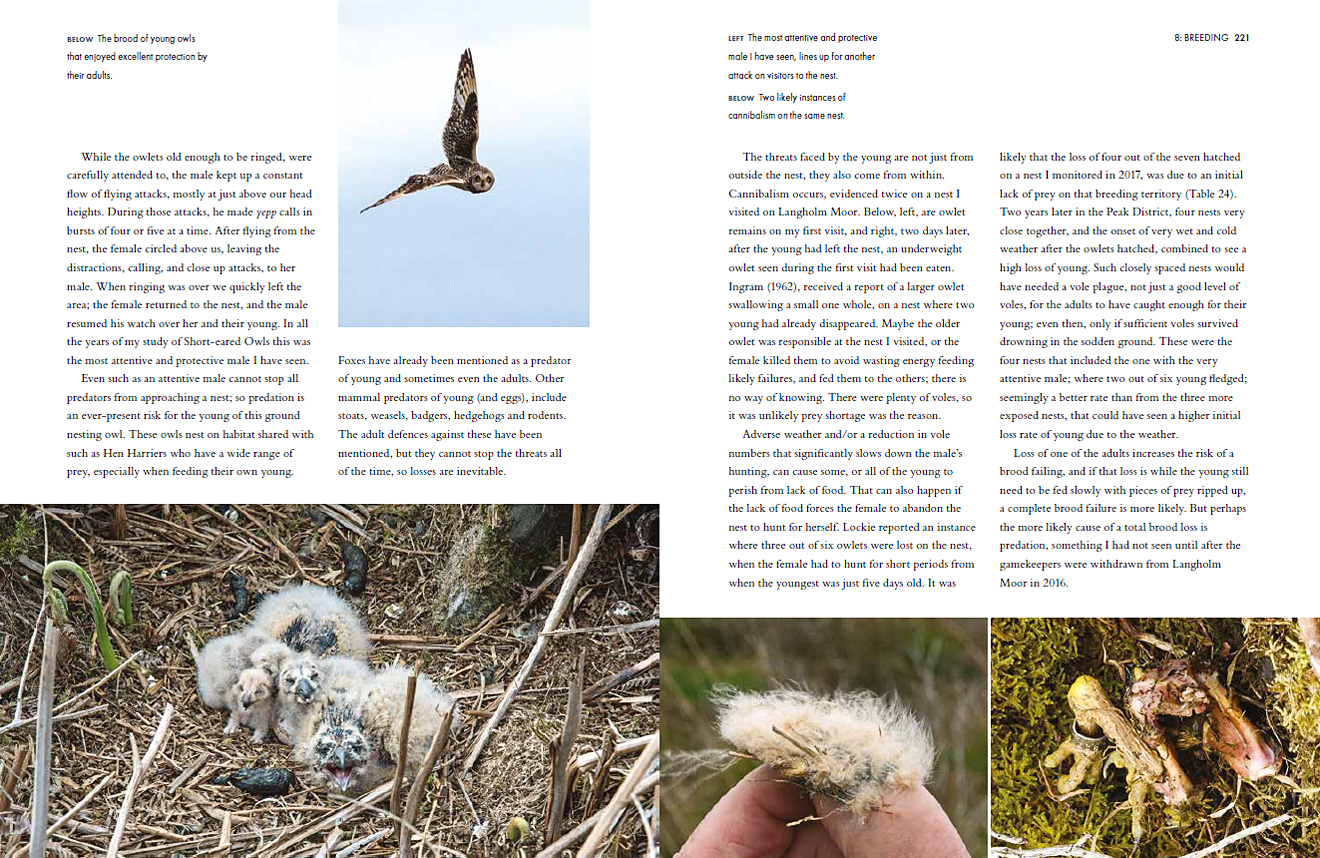 SHORT-EARED OWLS. AN EXTENSIVE STUDY OF SHORT-EARED OWLS IN BRITAIN 7