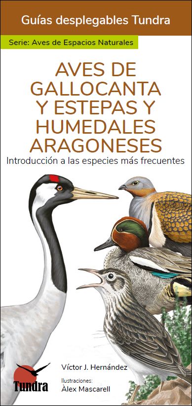AVES DE GALLOCANTA Y ESTEPAS Y HUMEDALES ARAGONESES. INTRODUCCIÓN A LAS ESPECIES MÁS FRECUENTES. GUÍAS DESPLEGABLES TUNDRA