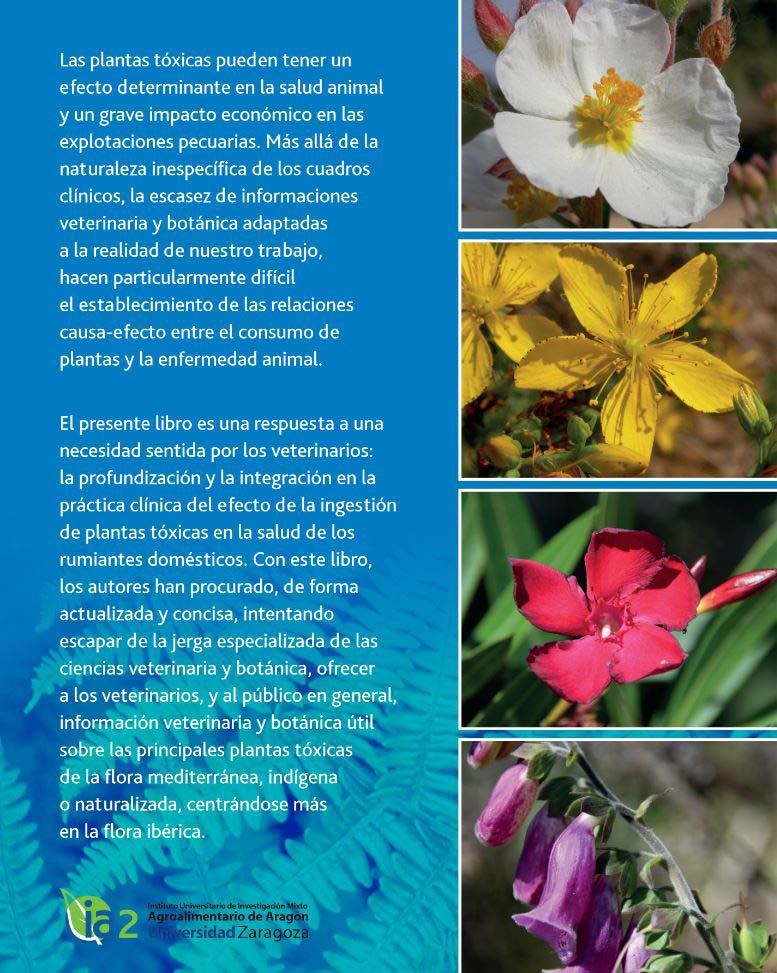 PLANTAS TÓXICAS PARA RUMIANTES 4