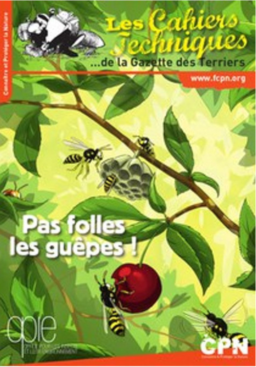 PAS FOLLES LES GUÊPES! 1