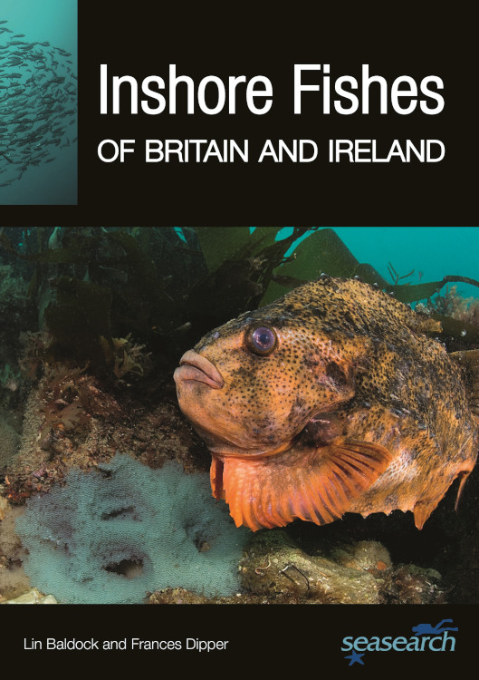 INSHORE FISHES OF BRITAIN AND IRELAND